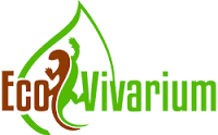 EcoVivarium Summer Camp