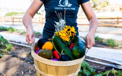 Coastal Roots Farm Launches Film – “With Heart & Soil” – to Showcase the Regenerative Farming Techniques of its Farm