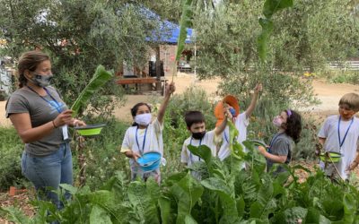 Coastal Roots Farm Hosts Spring Farm Camps