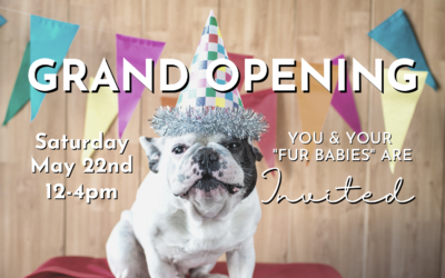 Neighborhood Veterinary Hospital of Oceanside Celebrates Grand Opening