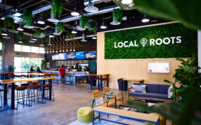 Local Roots Hard Kombucha Opens Vista “Boochyard”