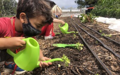 Coastal Roots Farm Offers New After-School Farm Camps