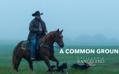 California Rangeland Trust Premieres  From the Ground Up: Healing our Planet, Healing Ourselves, a Short Film about the Importance of Rangelands for the State’s Ecology and Well-Being