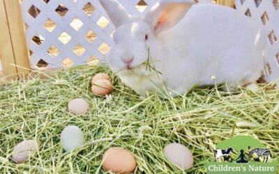 The Easter Bunny Visits the Children’s Nature Retreat