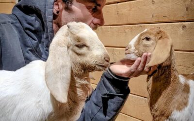 Children’s Nature Retreat Hosts Summer Camps & Animal Encounters