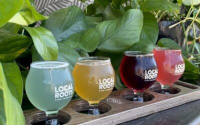 Local Roots Kombucha Opens New Tasting Room in Solana Beach