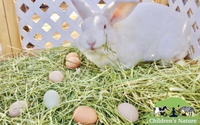 San Diego Animal Sanctuary & Farm to Host Several  Easter Egg Hunts, April 6-9