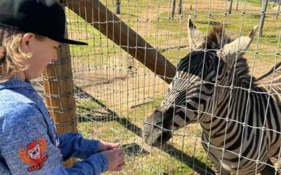 San Diego Animal Sanctuary & Farm is the  New Name for East County Animal Haven