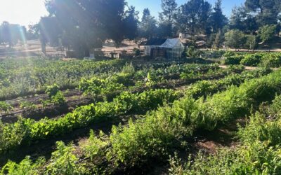 San Diego Animal Sanctuary & Farm Reveals New Organic Garden