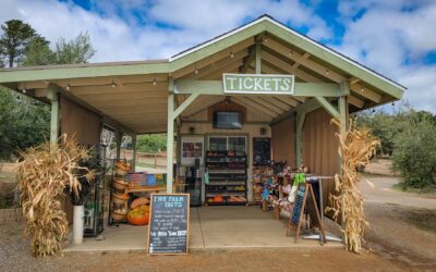 San Diego Animal Sanctuary & Farm Hosts  Annual Fall Festival