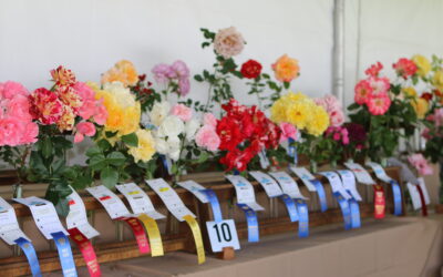 Coronado Flower Show, April 20 & 21, 2024