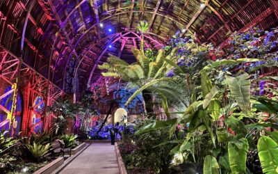 City of San Diego Reopens Historic Botanical Building in Balboa Park in Time for December Nights