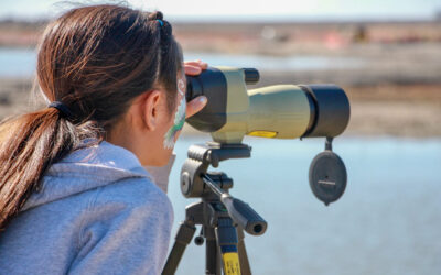 Nature Collective January Events Invite San Diegans to  Explore Nature & Giveback in Honor of National Day of Service