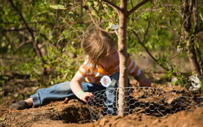 Coastal Roots Farm Hosts Annual Tu B’Shvat Food Forest Festival 2025, Sunday, Feb. 2