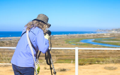 Nature Collective August & September Events