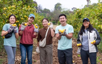 ProduceGood Awarded Key Grants to Expand Food Recovery and Community Impact