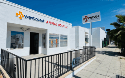 West Coast Animal Hospital Expands to Pacific Beach